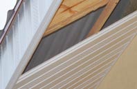 rated Tilbury Green soffit repair companies